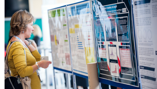 Poster Presentation (Mini-Oral)